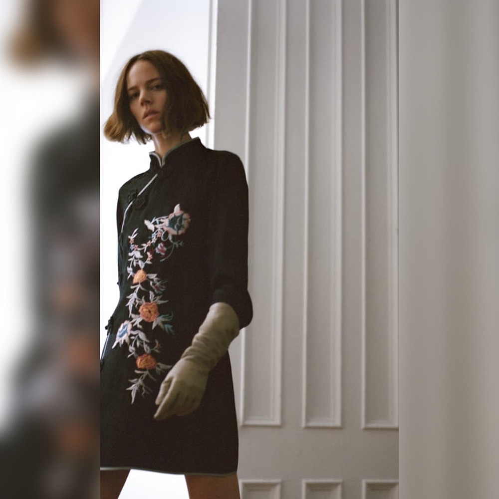 NWT Zara Embroidered Jacquard Dress